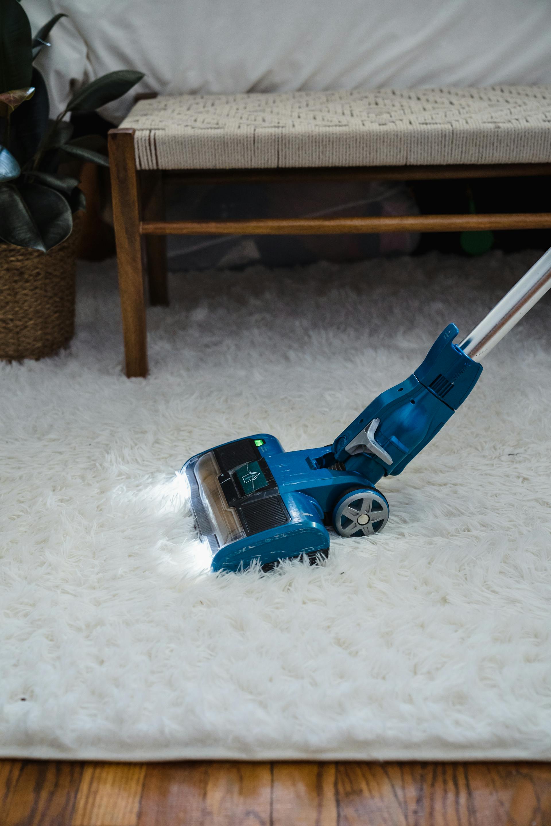 Professional cleaning